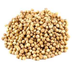 00000460 Coriander grains