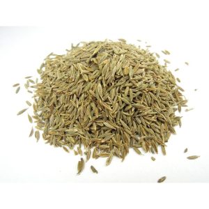 44555 Cumin seeds